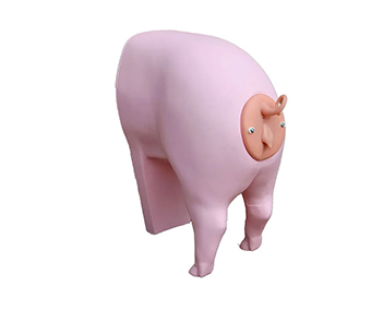 Maniquí de entrenamiento de inseminación artificial, suzy