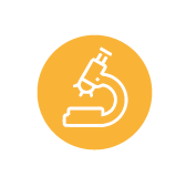 Equipos de Laboratorio