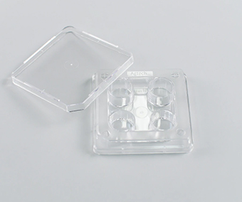 Placas de 4 y 6 pocillos