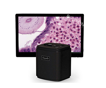 Cámara con monitor HD AU-600-HDS